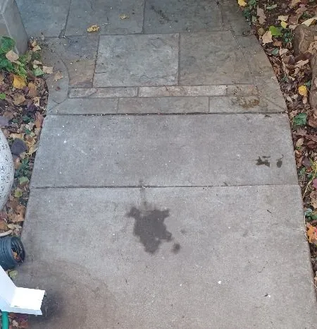 Top-rated landscaping services for year-round maintenance across Chico, CA - Butte Landscaping