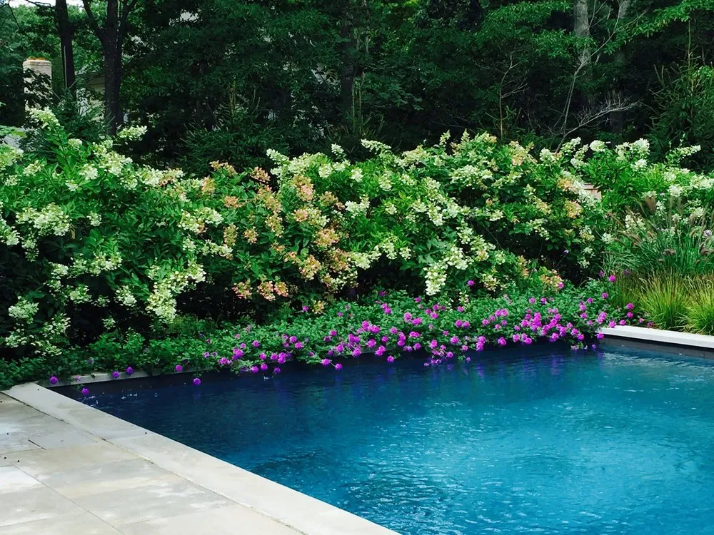 Affordable lawn mowing service for beautiful yards in Shelter Island Heights, NY by Buttercup Design Group