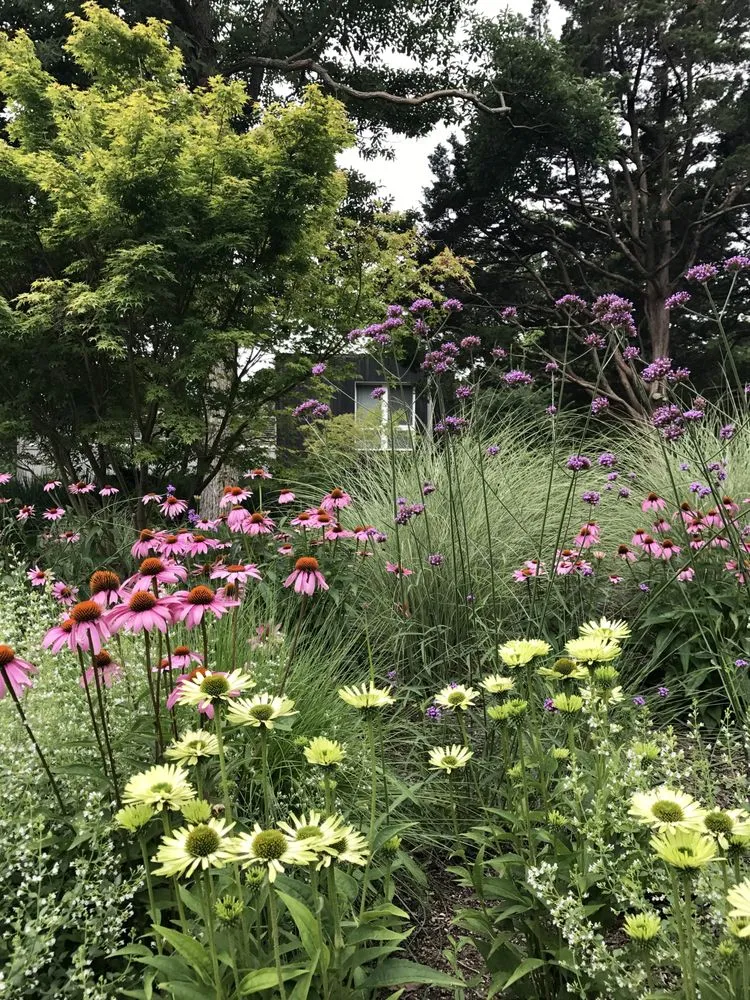 Custom garden landscaping for residential properties across Shelter Island Heights, NY - Buttercup Design Group