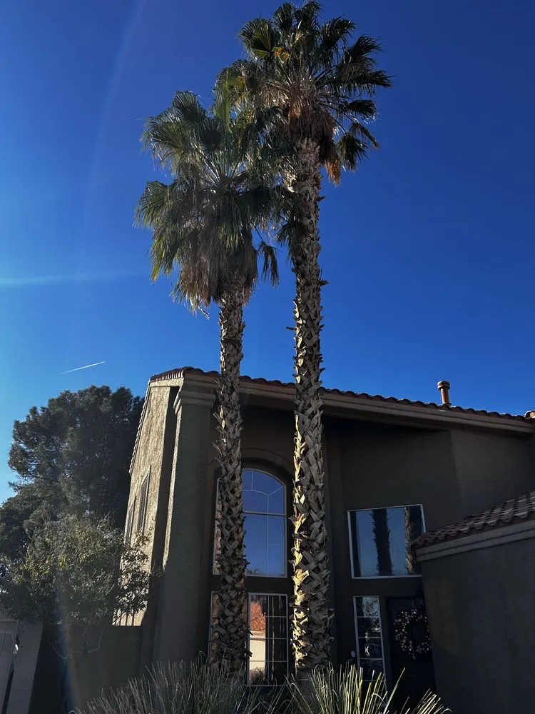 Expert lawn mowing service near you across Las Vegas, NV - Buttercup Landscaping