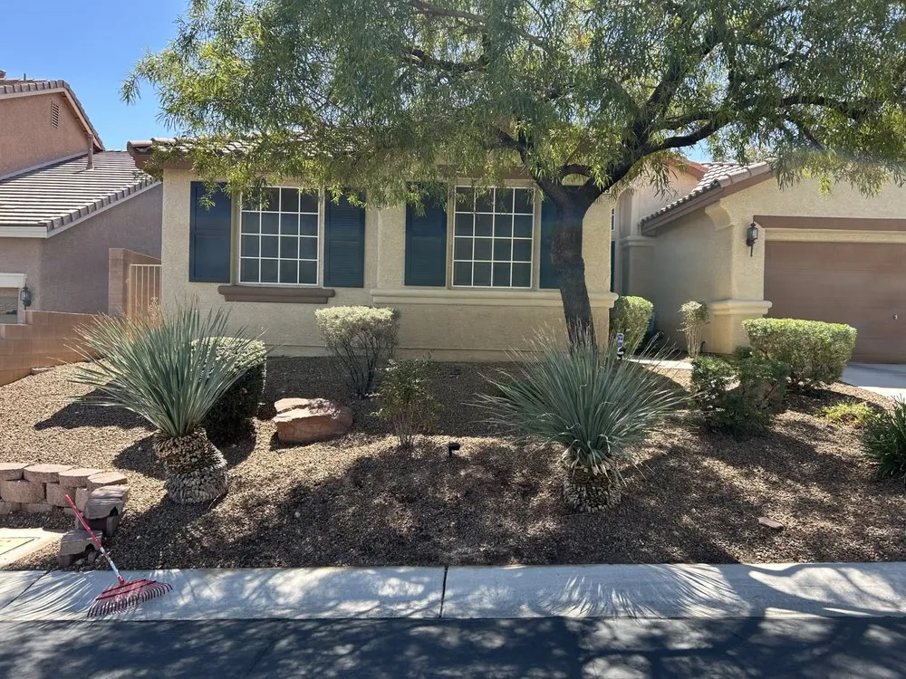 Professional outdoor landscaping in Las Vegas, NV - Buttercup Landscaping