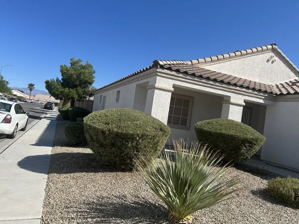 Professional landscape design in Las Vegas, NV - Buttercup Landscaping