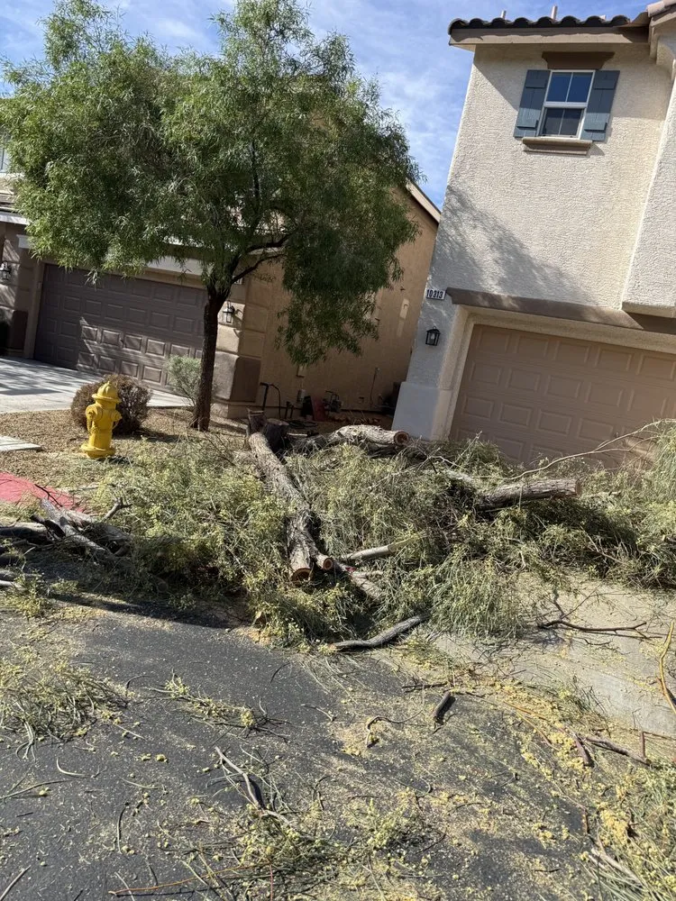 Affordable residential landscaping in Las Vegas, NV - Buttercup Landscaping