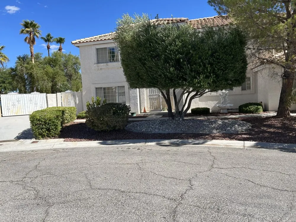 Local yard maintenance in Las Vegas, NV by Buttercup Landscaping