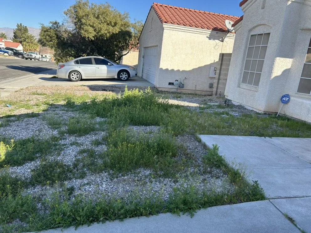 Local residential landscaping for homes in Las Vegas, NV by Buttercup Landscaping