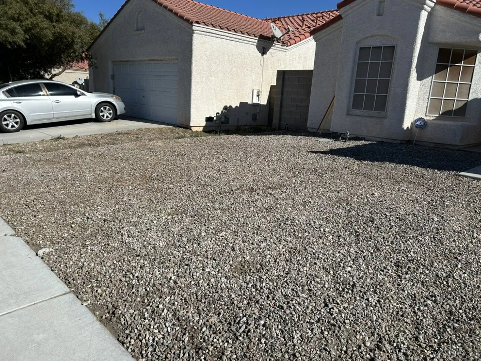 Trusted landscape installation for year-round maintenance in Las Vegas, NV by Buttercup Landscaping