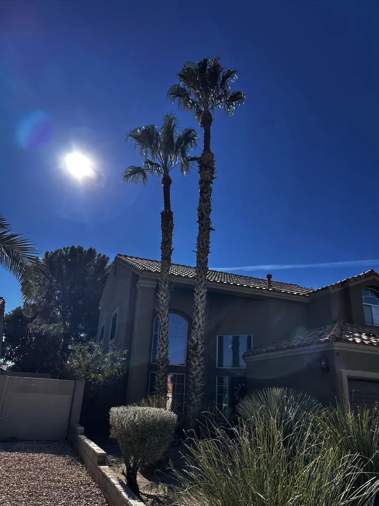 Trusted residential landscaping for beautiful yards in Las Vegas, NV by Buttercup Landscaping