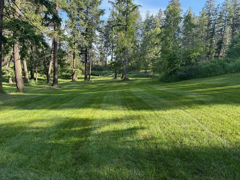 Local lawn care service experts serving Bigfork, MT - Butterfield Property Services