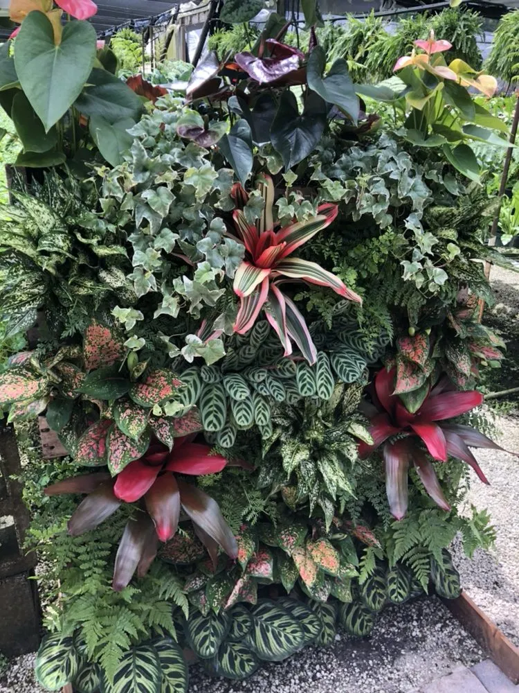 Top-rated landscape installation in Delray Beach, FL by Butterflies Are Free Landscaping & Design