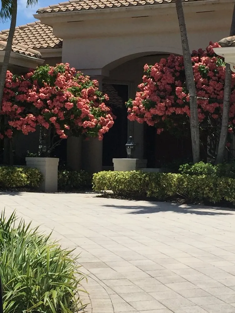 Affordable garden landscaping for year-round maintenance across Delray Beach, FL - Butterflies Are Free Landscaping & Design
