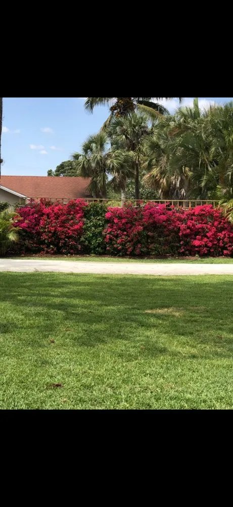 Local yard maintenance in Delray Beach, FL - Butterflies Are Free Landscaping & Design