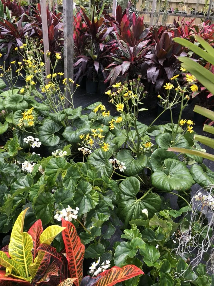 Reliable landscape installation for outdoor upgrades across Delray Beach, FL - Butterflies Are Free Landscaping & Design