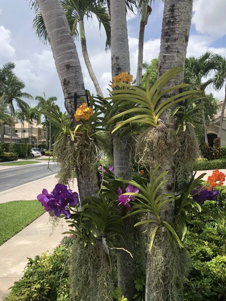 Reliable landscaping services in Delray Beach, FL by Butterflies Are Free Landscaping & Design