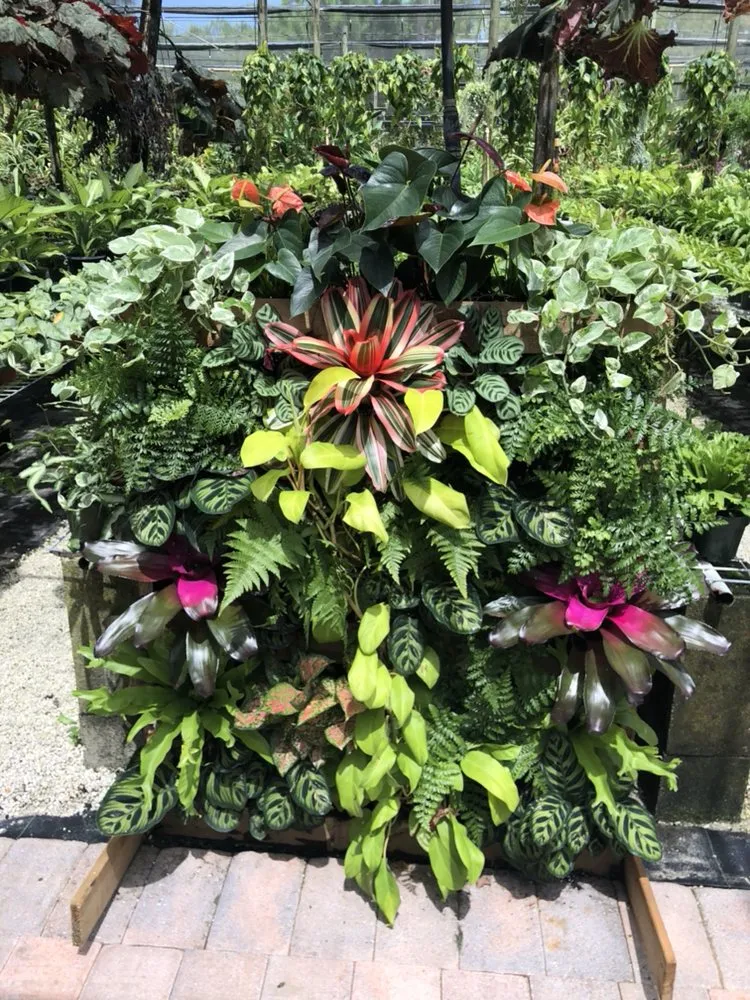 Reliable landscape installation in Delray Beach, FL by Butterflies Are Free Landscaping & Design