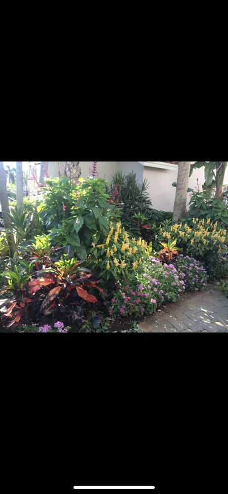 Top-rated garden landscaping for beautiful yards across Delray Beach, FL - Butterflies Are Free Landscaping & Design