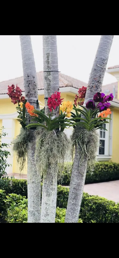 Reliable landscape installation in Delray Beach, FL - Butterflies Are Free Landscaping & Design