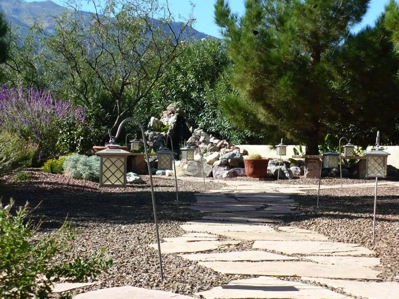 Top-rated outdoor landscaping experts serving Sierra Vista, AZ - Butterfly Gardens