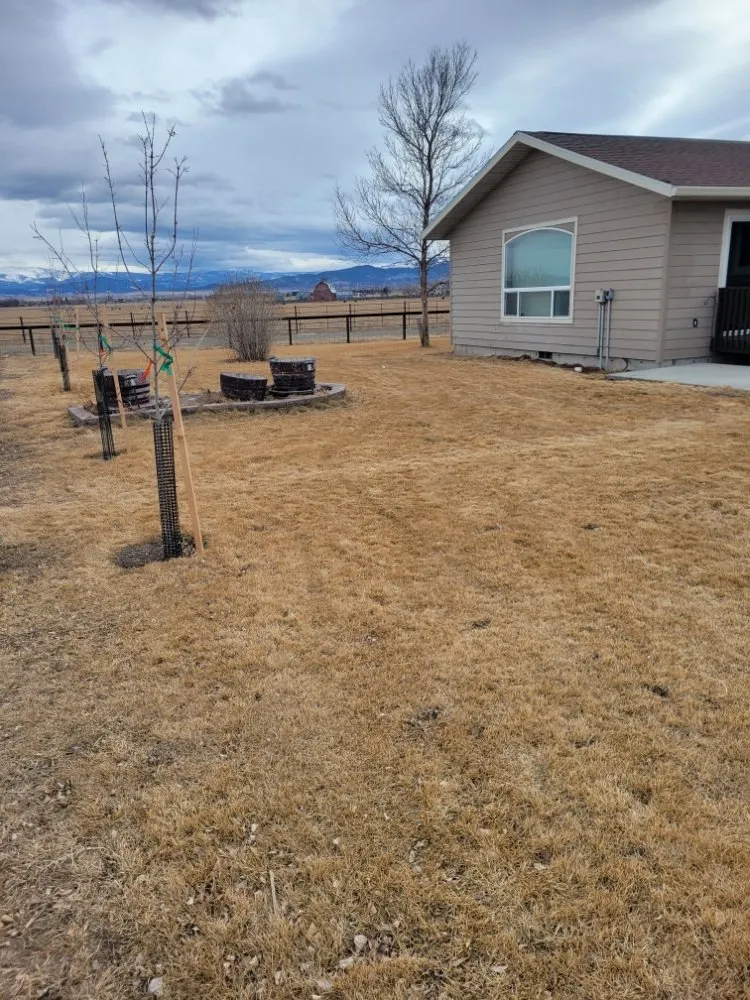 Custom yard cleanup service in East Helena, MT by Buttons Lawn Services