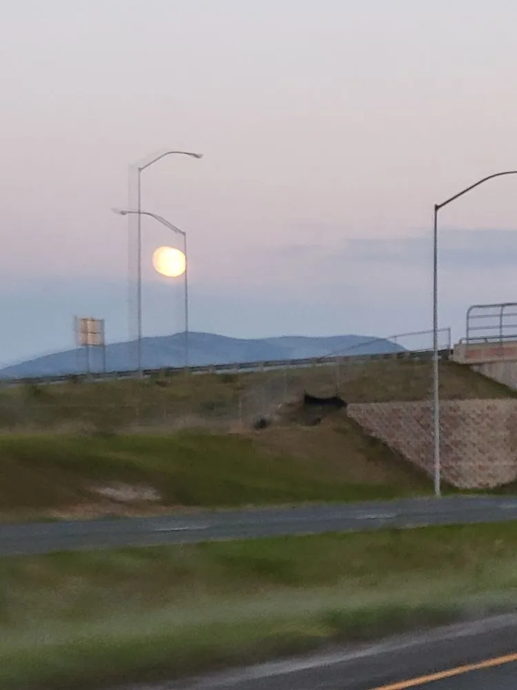 Expert landscaping services experts serving East Helena, MT - Buttons Lawn Services