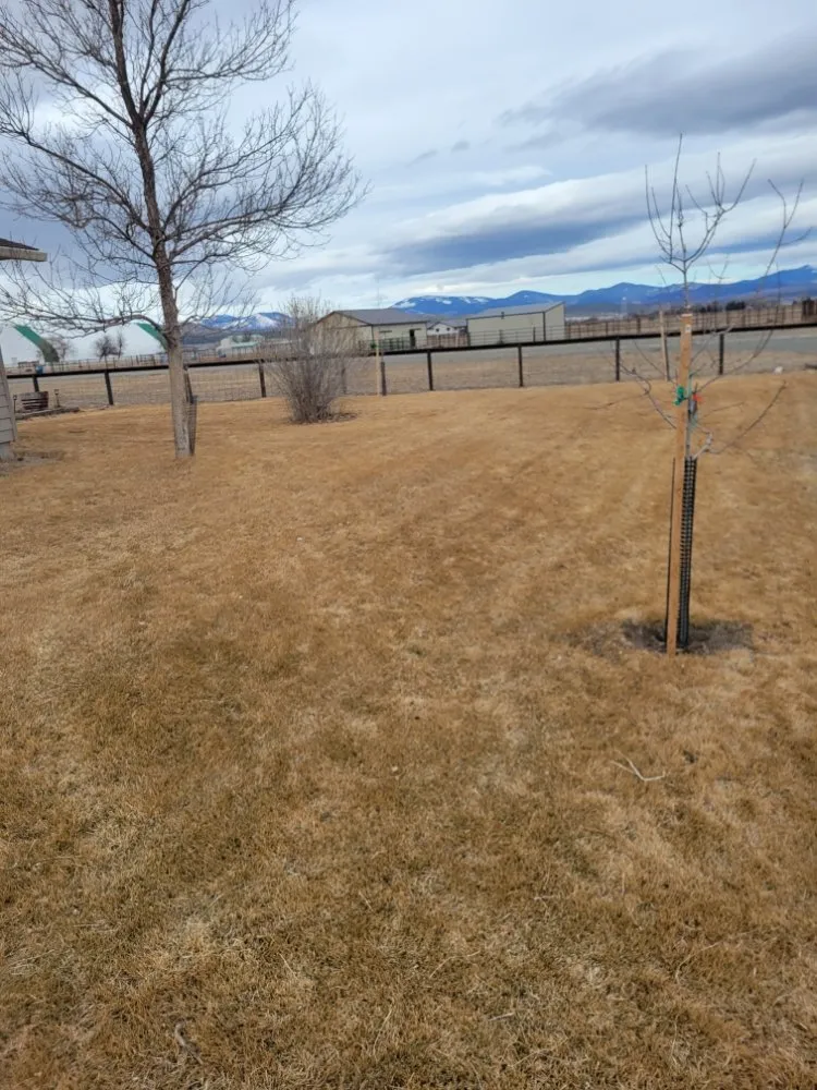 Trusted landscape design for year-round maintenance in East Helena, MT by Buttons Lawn Services