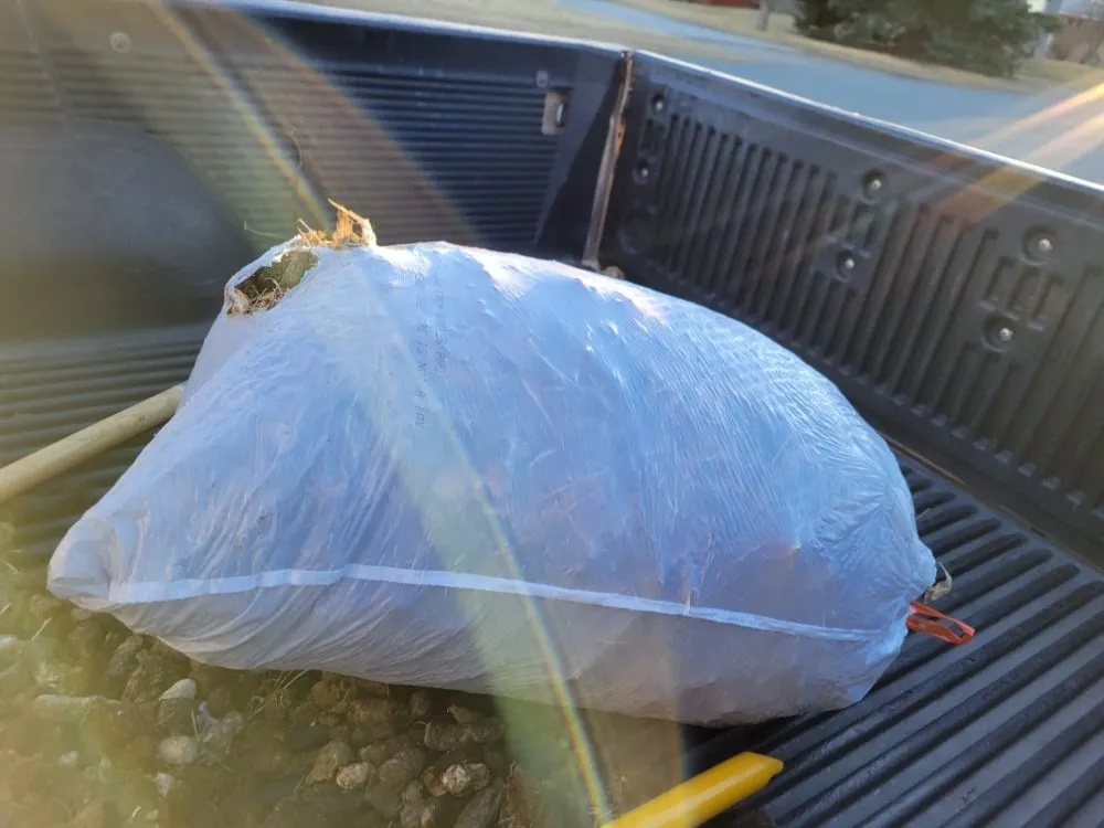 Professional lawn care service near you in East Helena, MT by Buttons Lawn Services