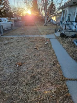 Buttons Lawn Services