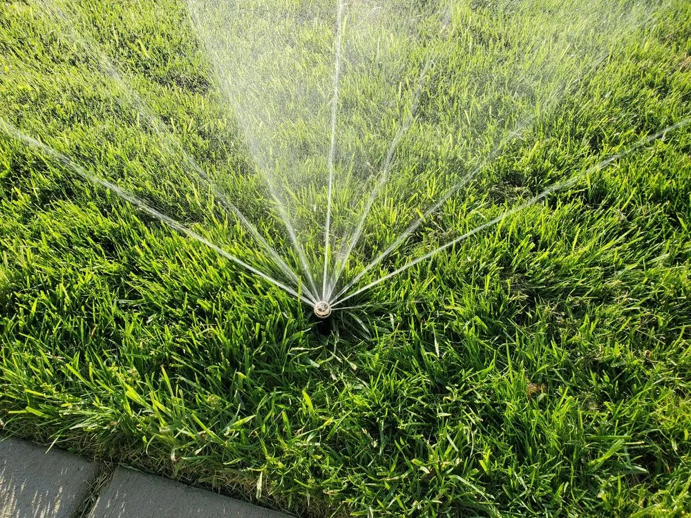 Expert yard cleanup service experts serving Stone Ridge, VA - Buxus Landscape Solutions