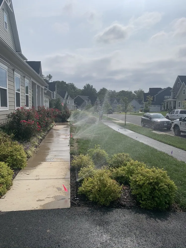 Top-rated outdoor landscaping for year-round maintenance across Stone Ridge, VA - Buxus Landscape Solutions