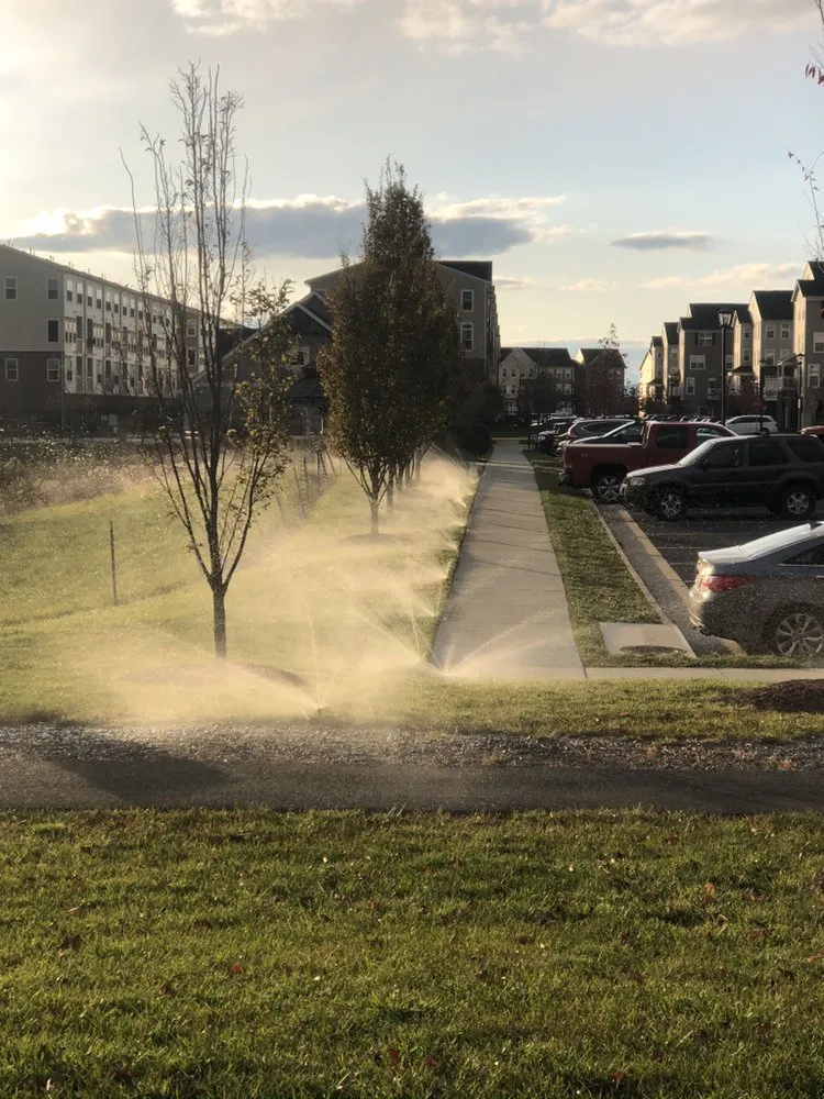 Top-rated yard maintenance for year-round maintenance across Stone Ridge, VA - Buxus Landscape Solutions