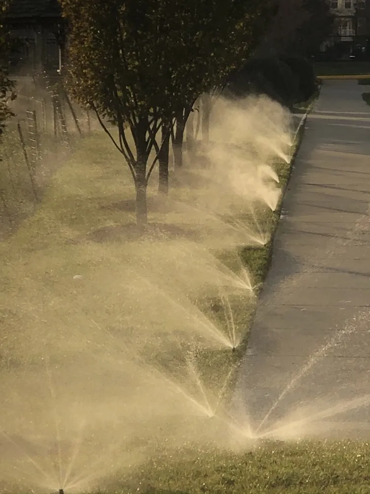 Professional lawn mowing service in Stone Ridge, VA - Buxus Landscape Solutions