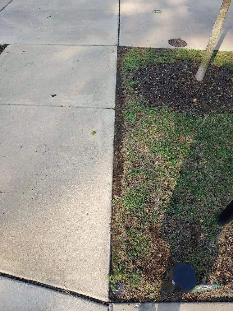 Expert landscape design for residential properties across Stone Ridge, VA - Buxus Landscape Solutions