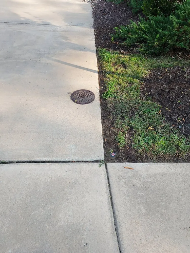 Top-rated lawn care service with custom design across Stone Ridge, VA - Buxus Landscape Solutions