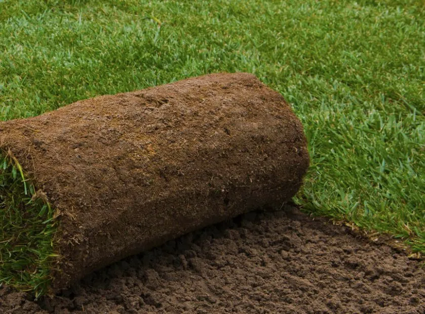 Trusted yard cleanup service for beautiful yards across Newtown, CT - Buy Sod Direct