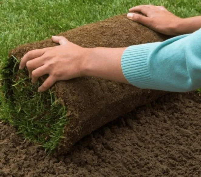 Reliable garden landscaping for outdoor upgrades in Newtown, CT by Buy Sod Direct