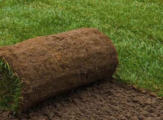 Buy Sod Direct