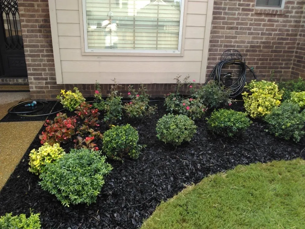 Custom yard cleanup service experts serving Bartlett, TN - Buyer Landscaping