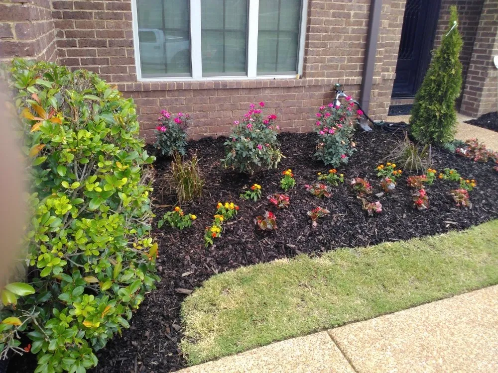 Professional landscaping services in Bartlett, TN - Buyer Landscaping