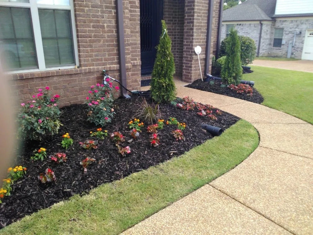 Affordable residential landscaping in Bartlett, TN by Buyer Landscaping