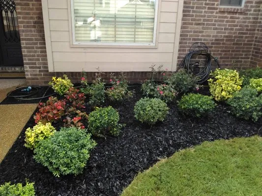 Buyer Landscaping Logo