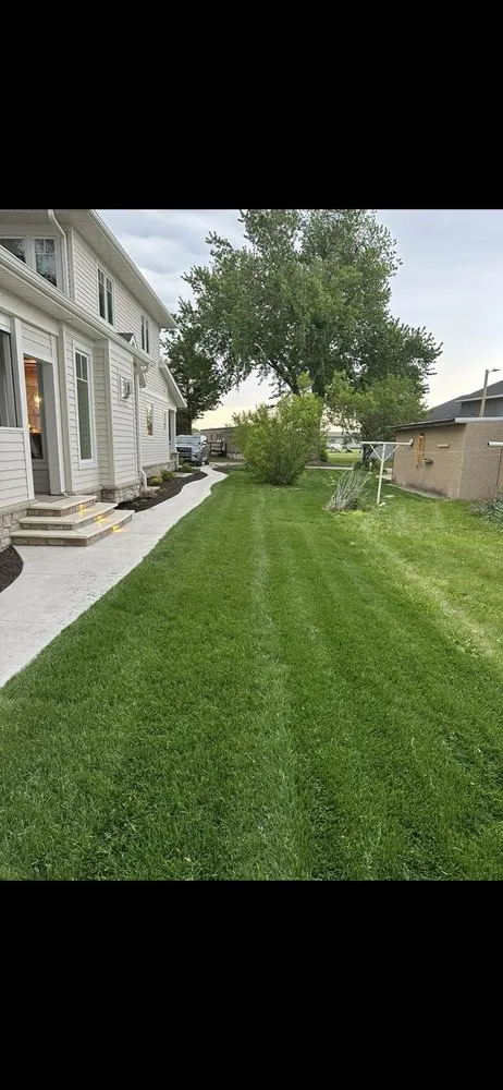 Local lawn care service in Elm Creek, NE by Buysm Sod Farms