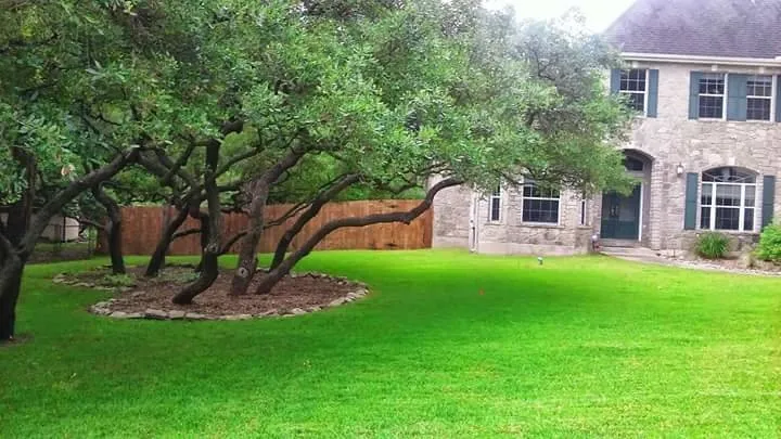 Top-rated lawn mowing service experts serving San Antonio, TX - Buzy Beez Lawn & Treez