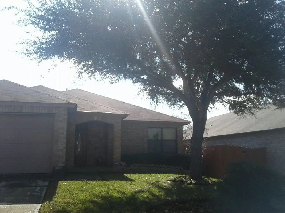 Trusted lawn mowing service experts serving San Antonio, TX - Buzy Beez Lawn & Treez