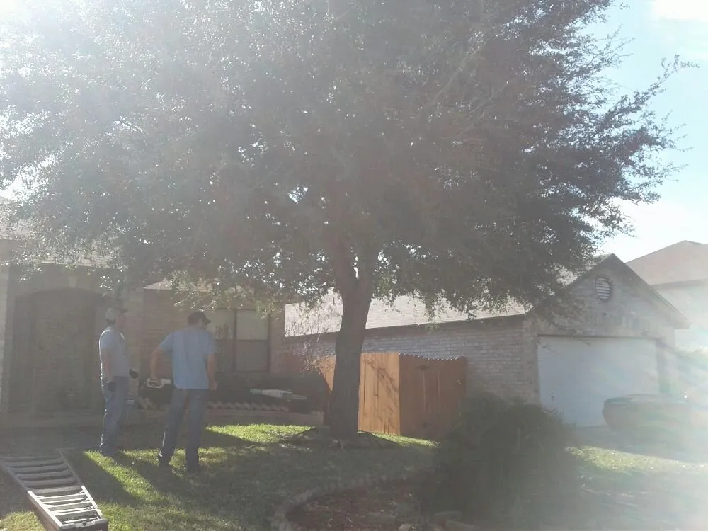 Local landscape installation for outdoor upgrades in San Antonio, TX by Buzy Beez Lawn & Treez