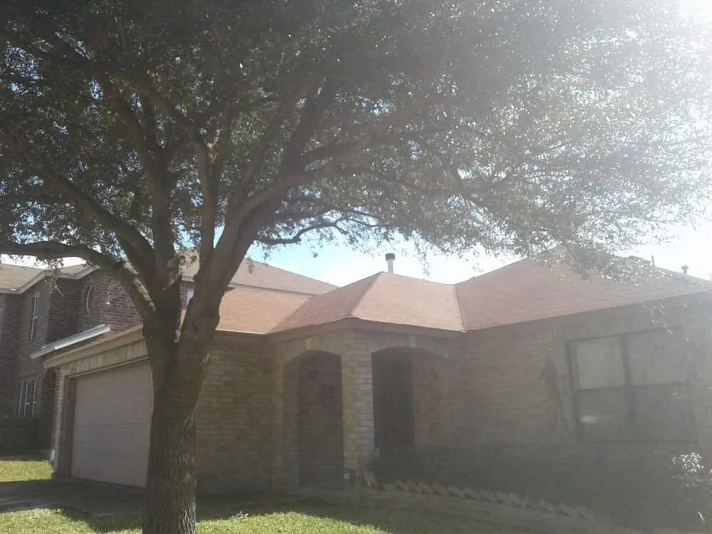 Custom landscaping services for beautiful yards in San Antonio, TX by Buzy Beez Lawn & Treez