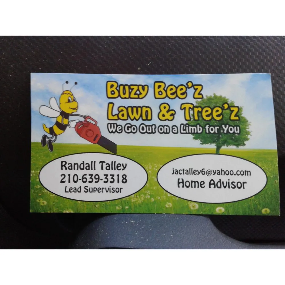 Trusted yard cleanup service in San Antonio, TX by Buzy Beez Lawn & Treez