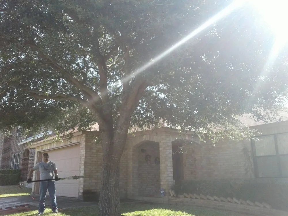 Expert lawn mowing service experts serving San Antonio, TX - Buzy Beez Lawn & Treez