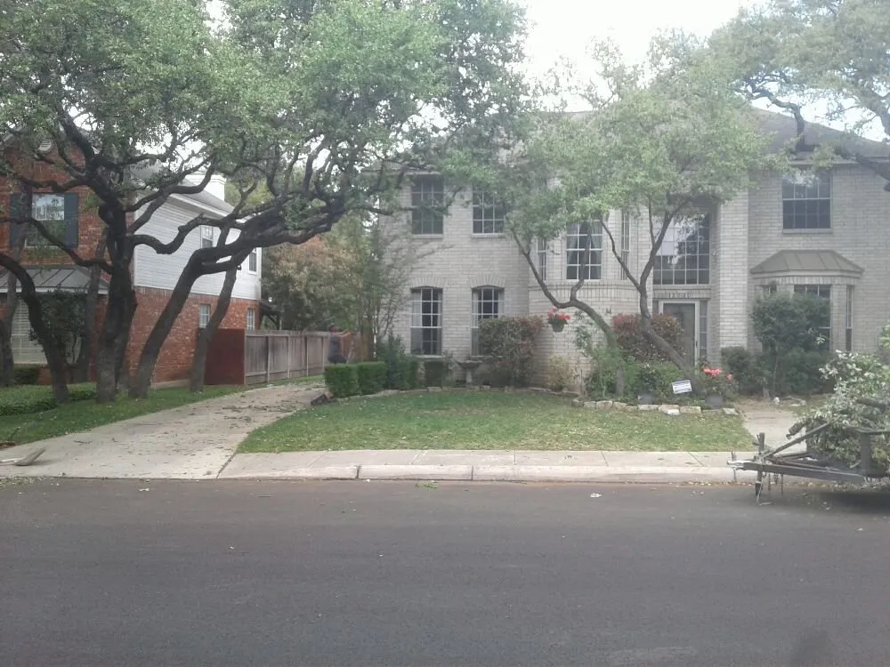 Expert yard cleanup service with custom design across San Antonio, TX - Buzy Beez Lawn & Treez