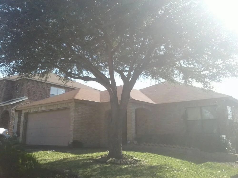 Top-rated landscaping services in San Antonio, TX by Buzy Beez Lawn & Treez