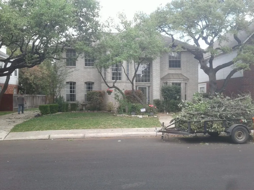 Reliable yard cleanup service in San Antonio, TX by Buzy Beez Lawn & Treez