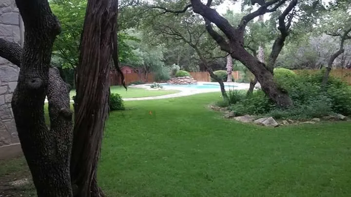 Trusted yard maintenance in San Antonio, TX - Buzy Beez Lawn & Treez